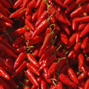 Whole Hot Calabrian Chili Peppers